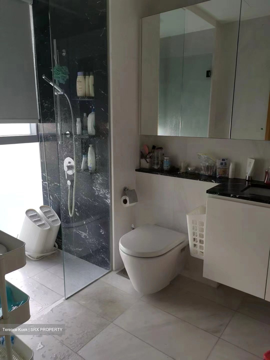 The Scala (D19), Apartment #494087651